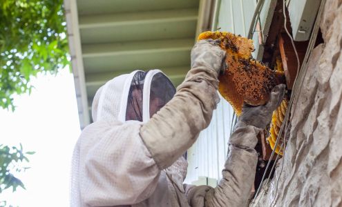 ATX Bee Removal LLC