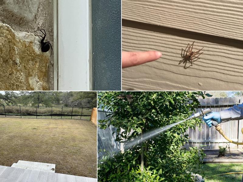 Reliant Pest Management