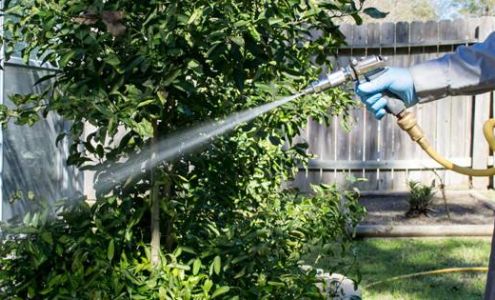 Reliant Pest Management