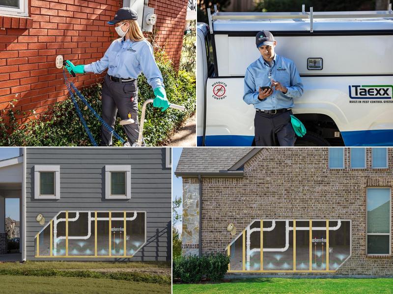 HomeTeam Pest Defense