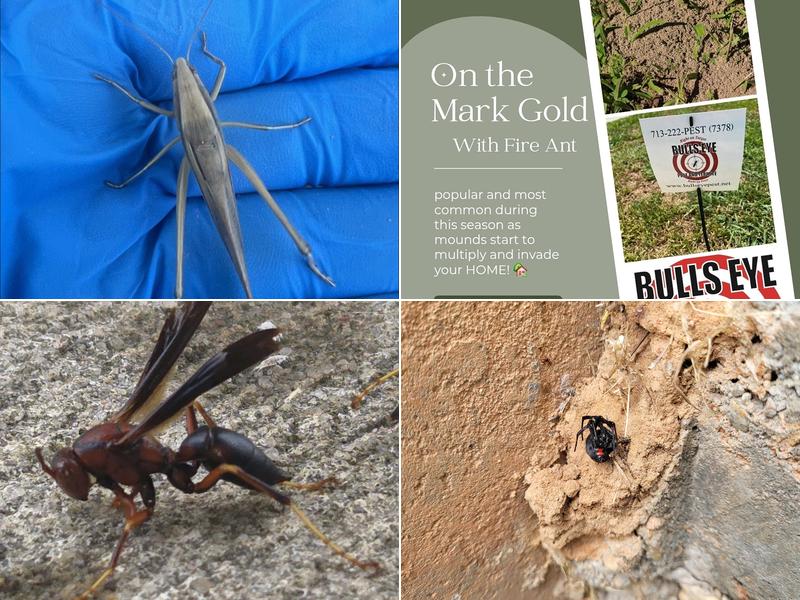 Bulls-Eye Pest & Termite Control, Inc.