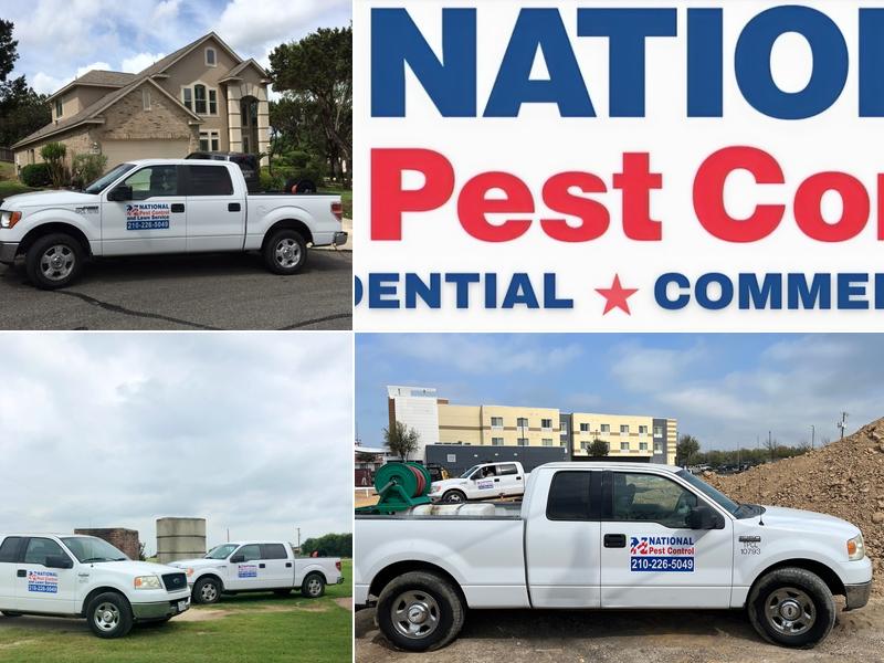 National Pest Control