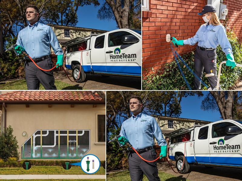 HomeTeam Pest Defense