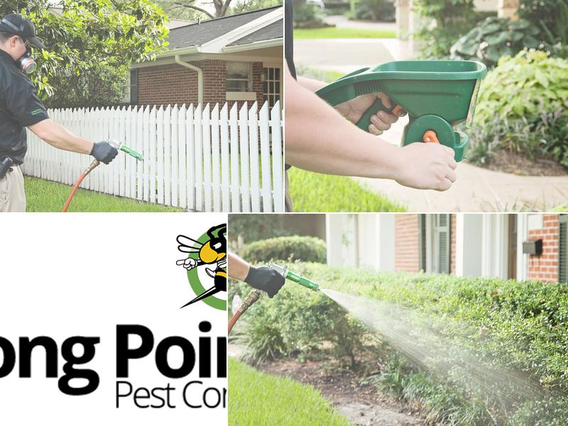 Long Point Pest Control