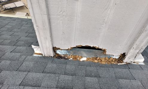 Your Neighborhood Pest Control