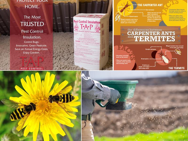 Reliant Termite & Pest Control