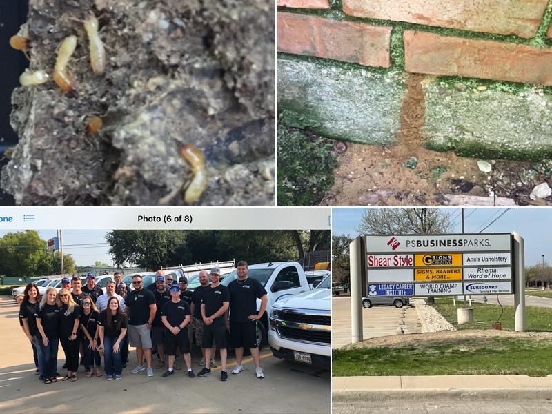 Sureguard Lawn & Pest