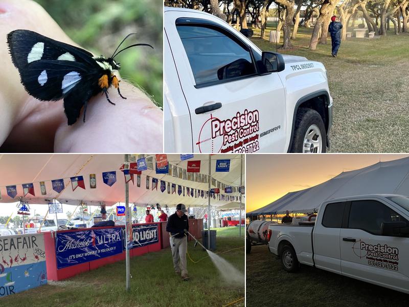 Precision Pest Control