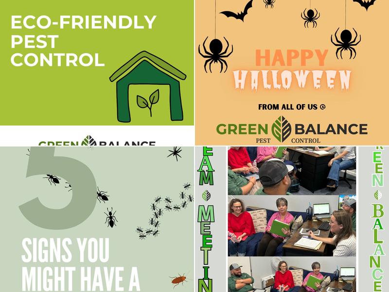 Green Balance Pest Control