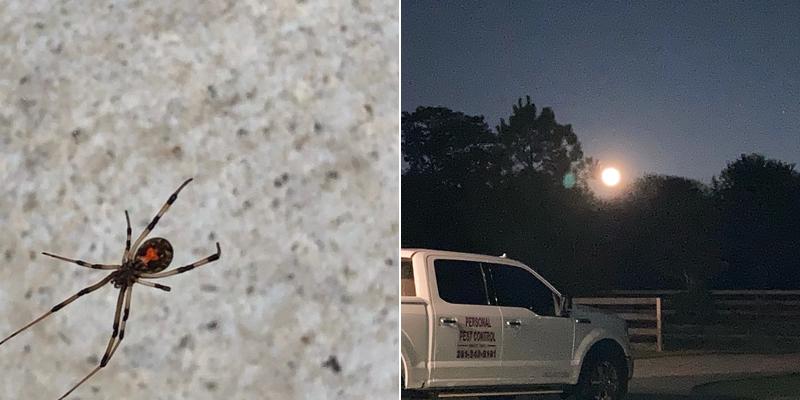 Personal Pest Control Services Inc