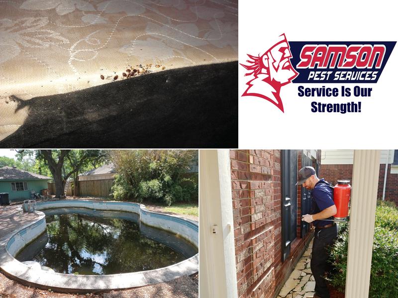 Samson Pest and Termite Services
