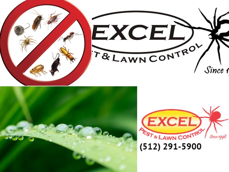 Excel Pest & Lawn Control