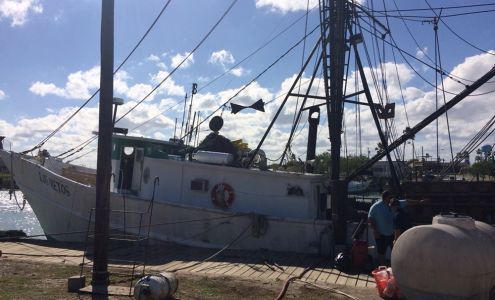 One Stop Pest Control