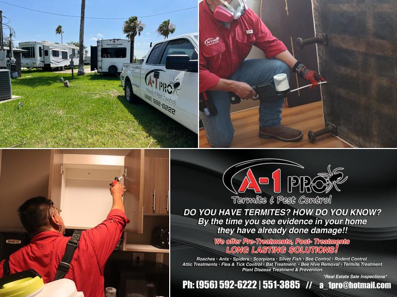 A-1 Pro Termite & Pest Control