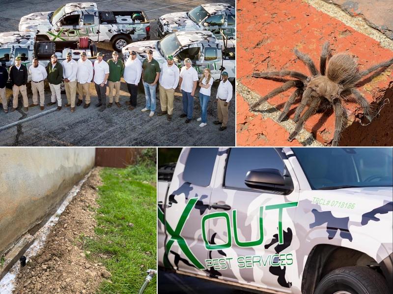 X Out Pest Services