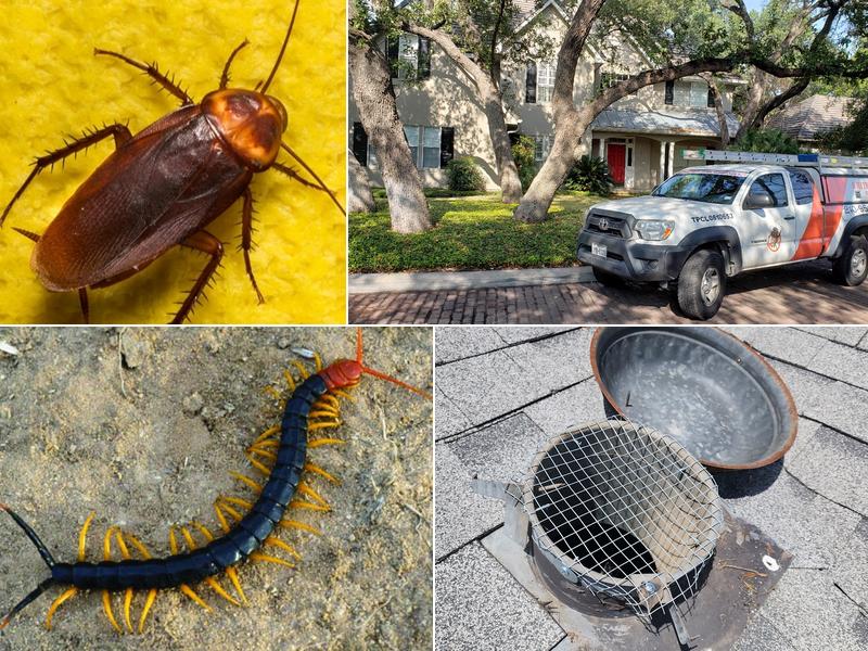 White Flag Pest and Critter