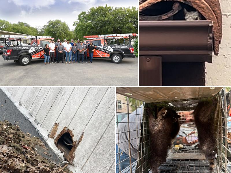 Critter One of San Antonio, LLC