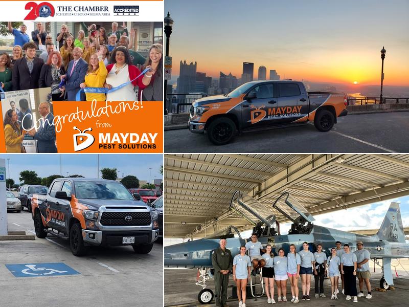 Mayday Pest Solutions