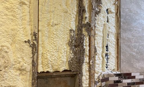 AAA Pest Control 4313 N 10th St Suite H, McAllen Texas 78504