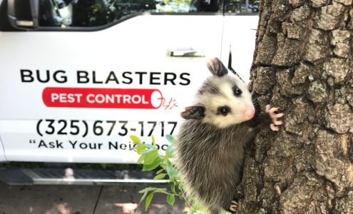 Bug Blasters Pest Control