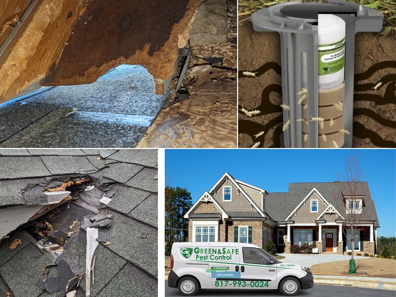 Green and Safe Pest Control