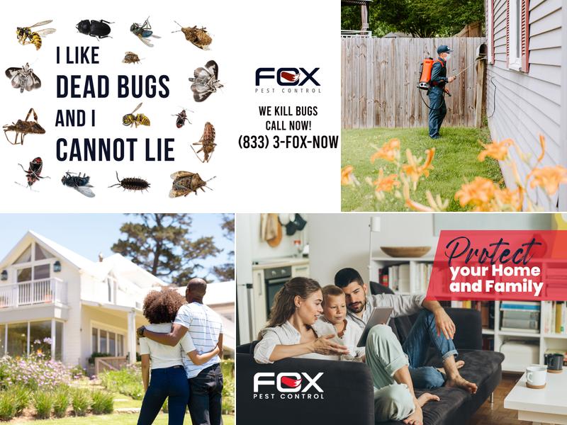 Fox Pest Control - Lubbock