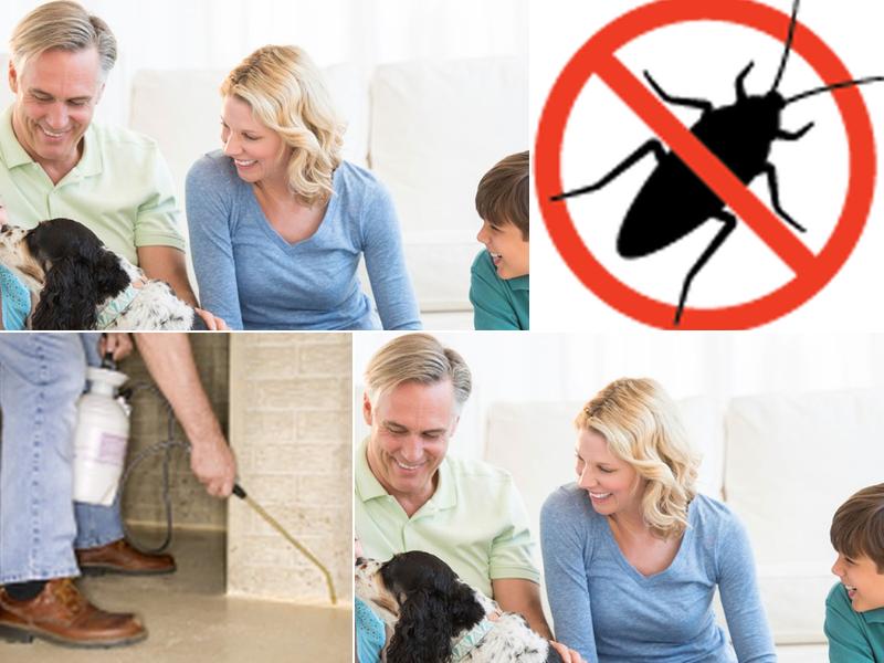 Killeen Pest Control, Inc.