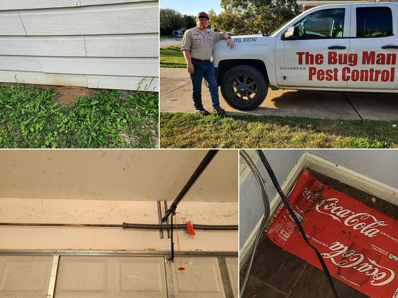 The Bug Man Pest Control