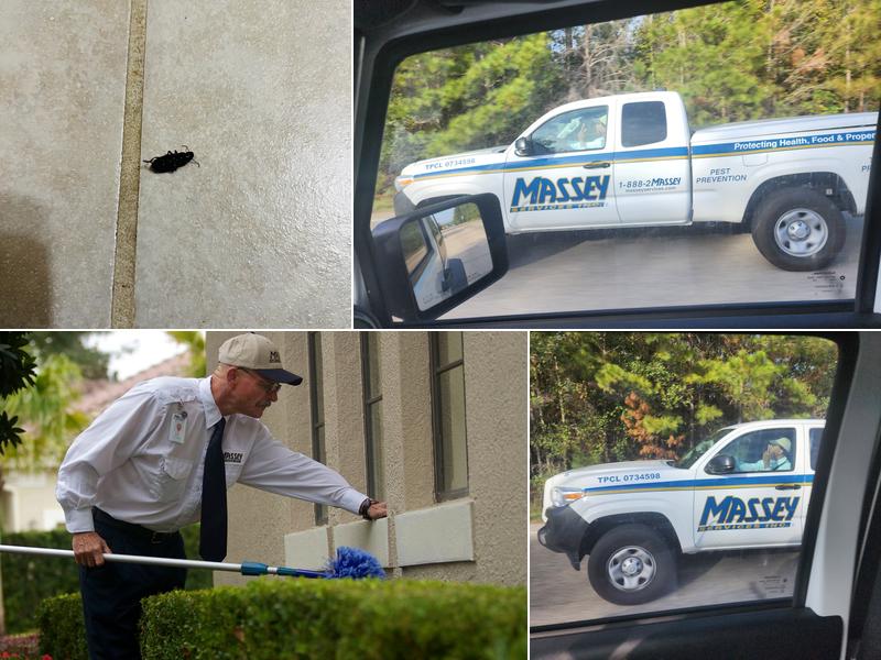 Massey Services Pest Control