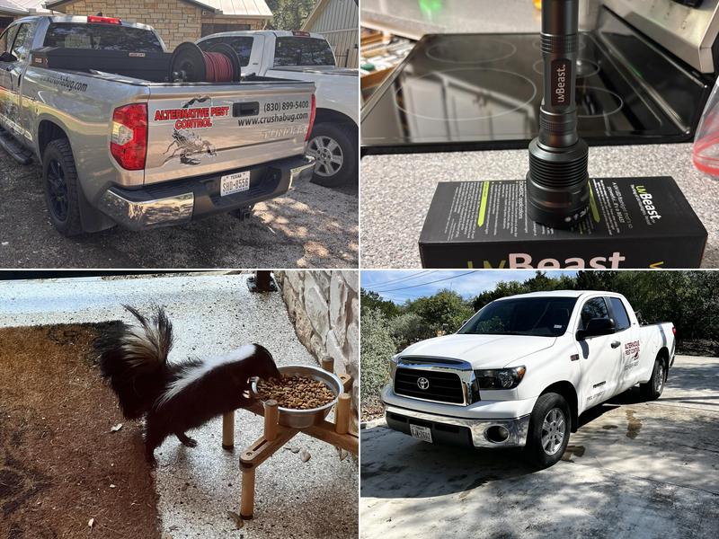 Alternative Pest Control