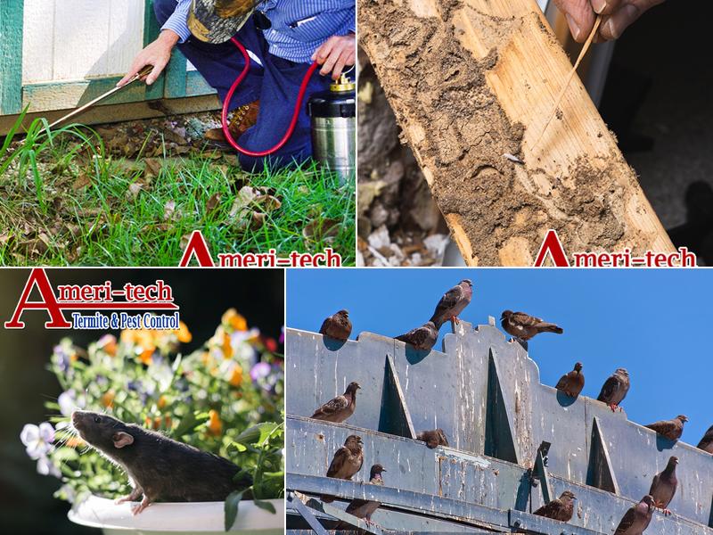 Ameri-Tech Termite & Pest Control, Inc.