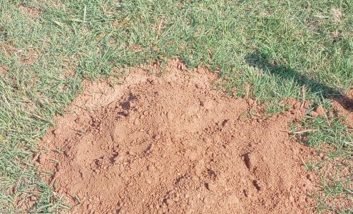 Assist Pest Services 415 W Bridge St, Weatherford Texas 76086