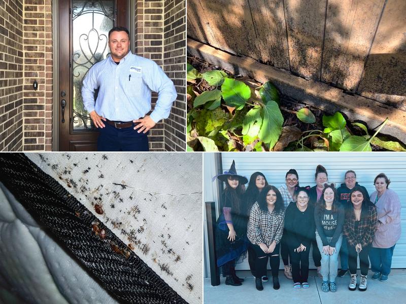 Sureguard Termite & Pest Services