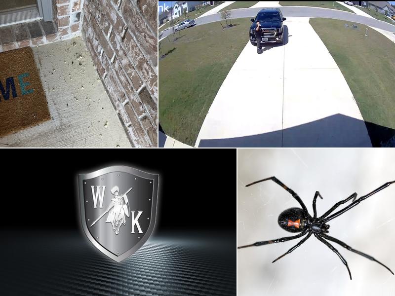 White Knight Pest Control, San Antonio, TX Reviews (229), Photos (10) BestProsInTown