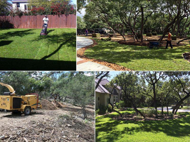 Cut Above Landscape & Tree Service