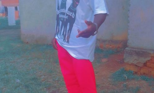 Spider Man Pest Control, Inc.