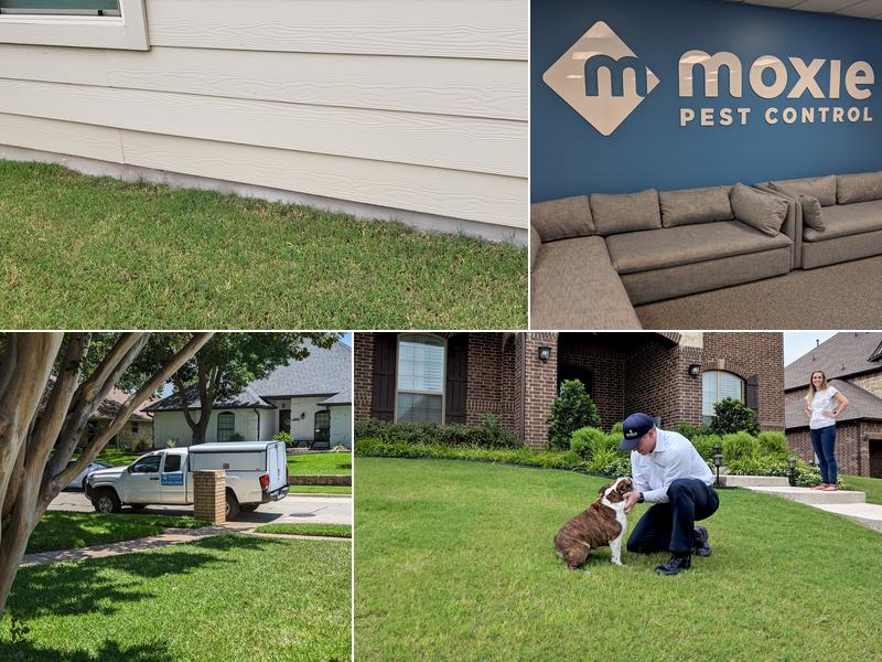 Moxie Pest Control