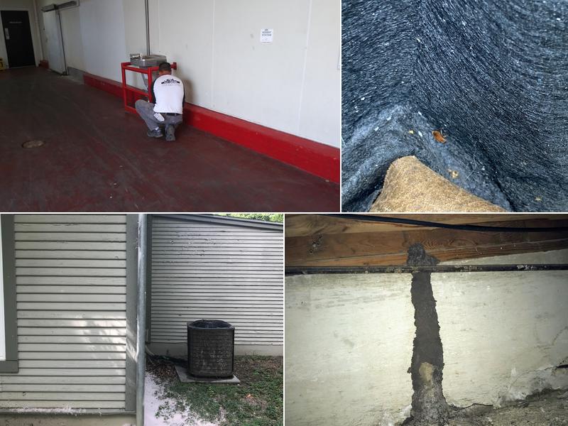 JDL Pest Control LLC