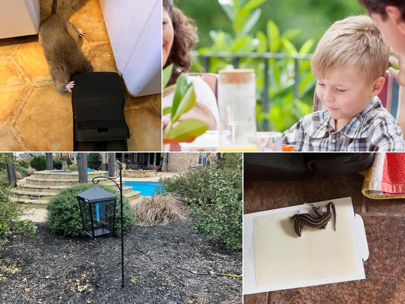 Backyard Comfort & Pest Control