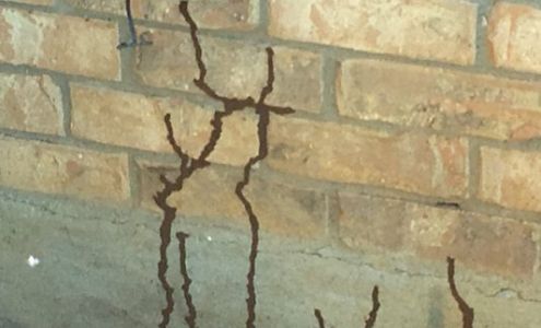 G M Pest Control 302 S Commercial Dr, Devine Texas 78016