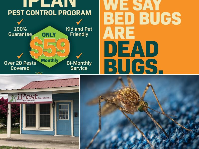 iPest Solutions San Antonio