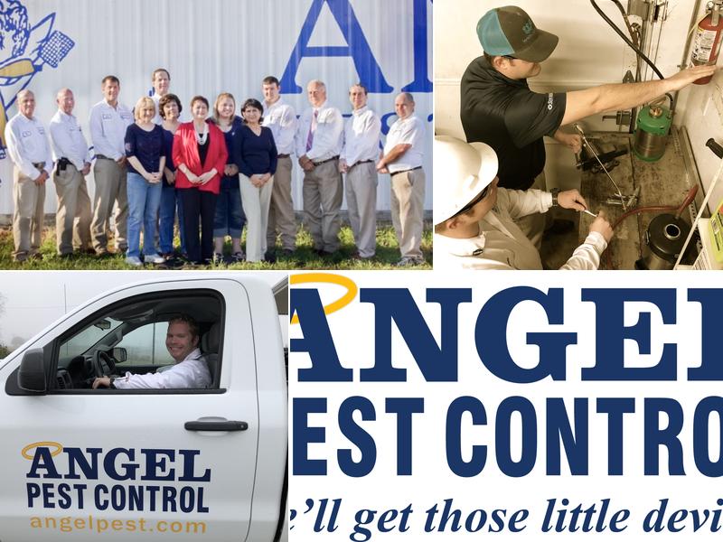 Angel Pest Control