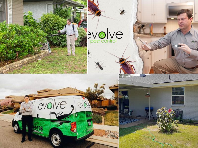 Evolve Pest Control