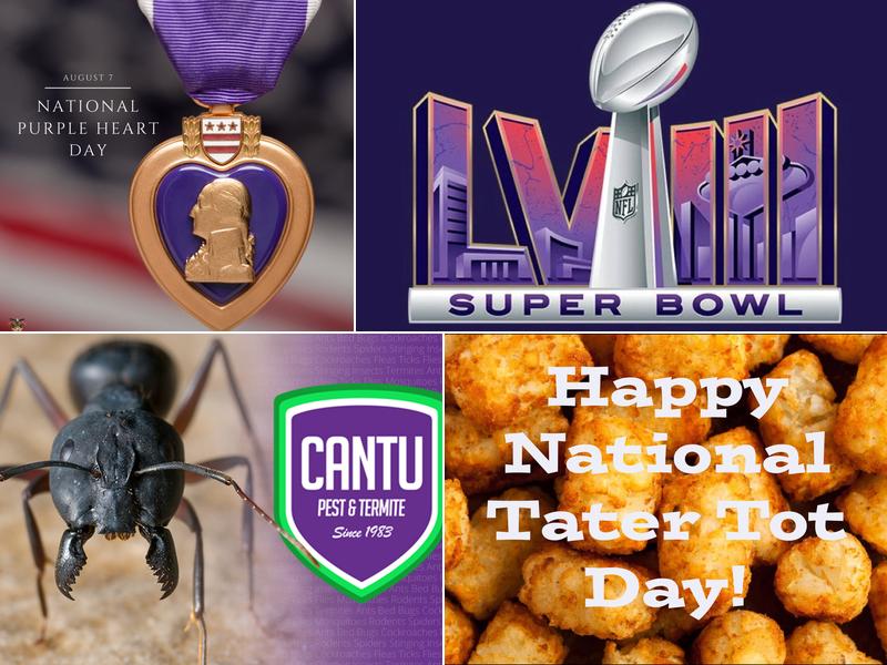 Cantu Pest & Termite