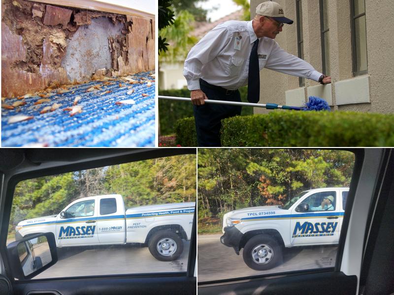 Massey Services Pest Control