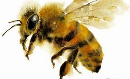 R6 Pest Control LLC 2517 US-77, Lott Texas 76656