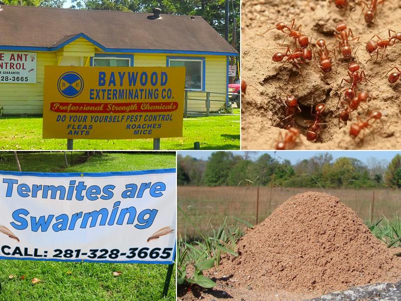 Baywood Exterminating Company