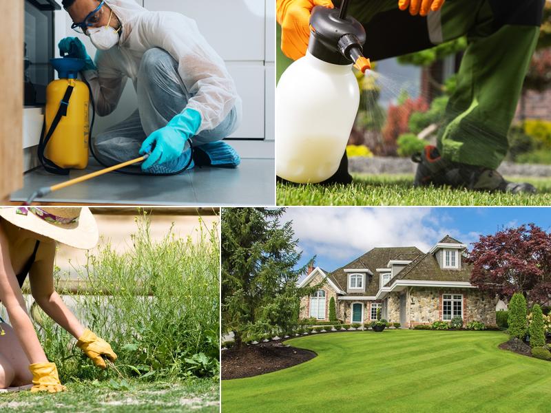 Summit Lawn Fertilization & Pest Control Utah County