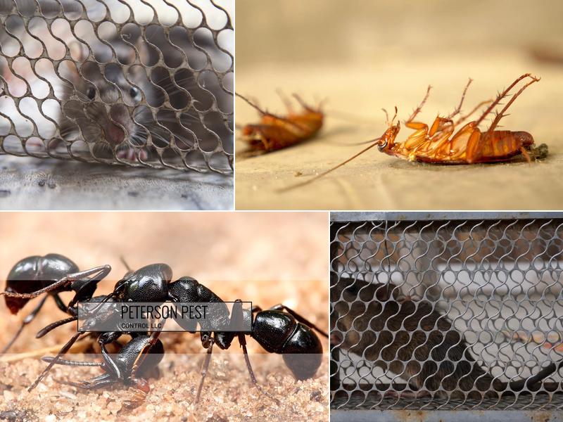 Peterson Pest Control