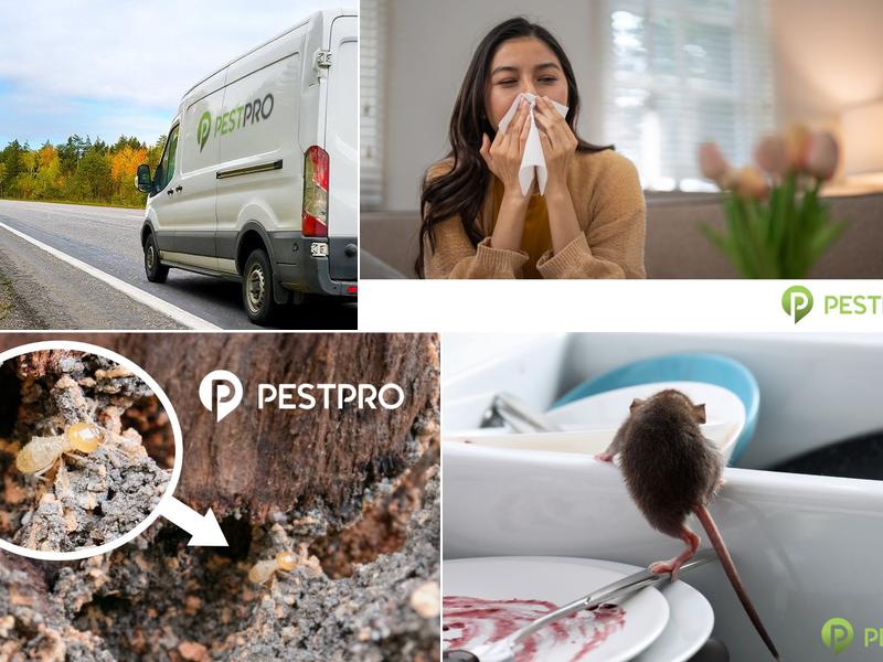 Pest Pro Pest Control